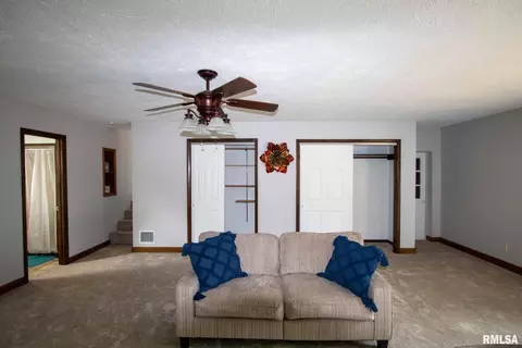 602 S Thomas St, Christopher, IL 62822 photo 33