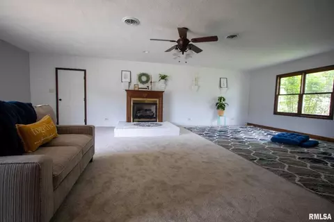 602 S Thomas St, Christopher, IL 62822 photo 30