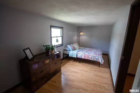 602 S Thomas St, Christopher, IL 62822 photo 48
