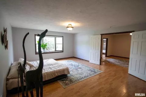 602 S Thomas St, Christopher, IL 62822 photo 52