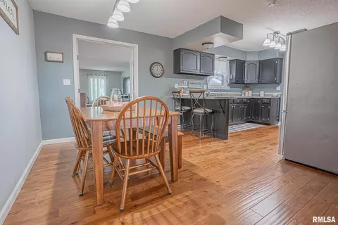 3717 Hotze Rd, Salem, IL 62881 photo 7