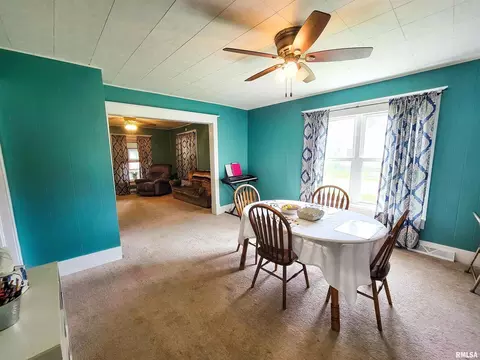 134 Fair Ave, Flora, IL 62839 photo 14