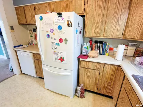 134 Fair Ave, Flora, IL 62839 photo 28