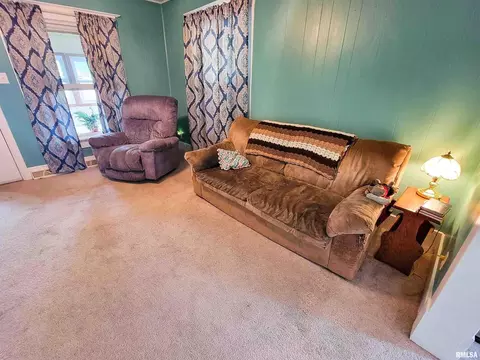 134 Fair Ave, Flora, IL 62839 photo 11