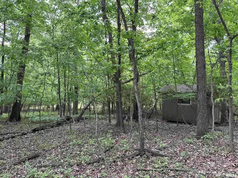 505 Forest Dr, Herrin, IL 62948 photo 55