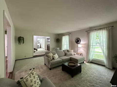 505 Forest Dr, Herrin, IL 62948 photo 36