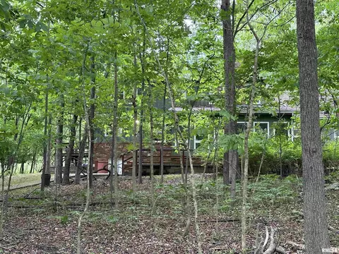505 Forest Dr, Herrin, IL 62948 photo 58