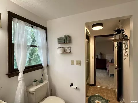 505 Forest Dr, Herrin, IL 62948 photo 46