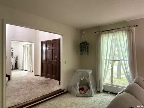 505 Forest Dr, Herrin, IL 62948 photo 39
