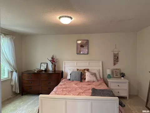 505 Forest Dr, Herrin, IL 62948 photo 49