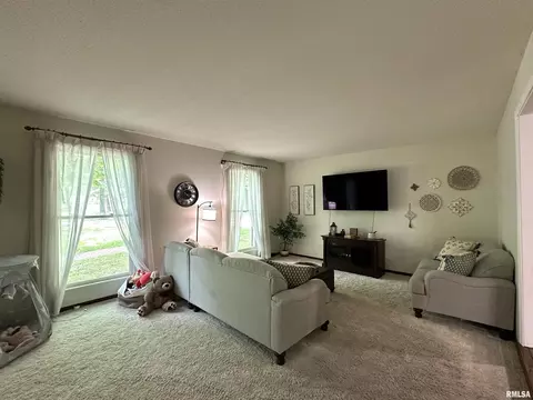 505 Forest Dr, Herrin, IL 62948 photo 38