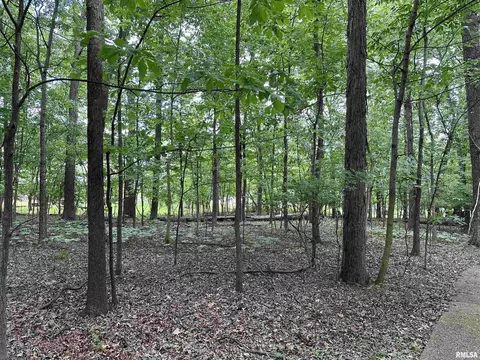 505 Forest Dr, Herrin, IL 62948 photo 56
