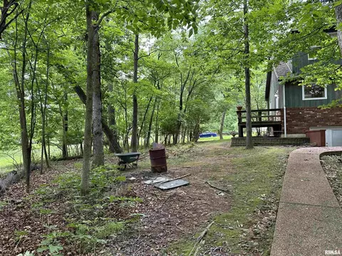 505 Forest Dr, Herrin, IL 62948 photo 59