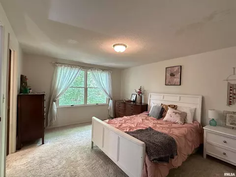 505 Forest Dr, Herrin, IL 62948 photo 50
