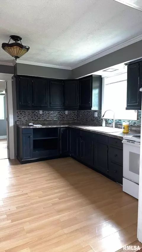 206 Benedict St, Valier, IL 62891 photo 15