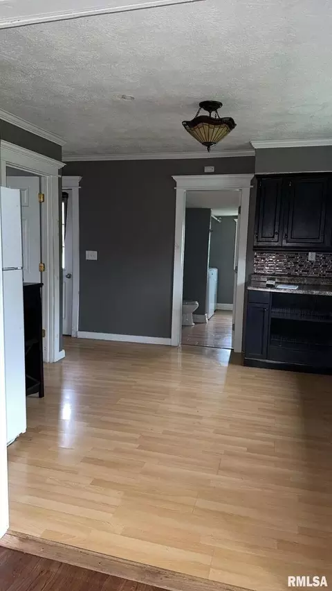 206 Benedict St, Valier, IL 62891 photo 14