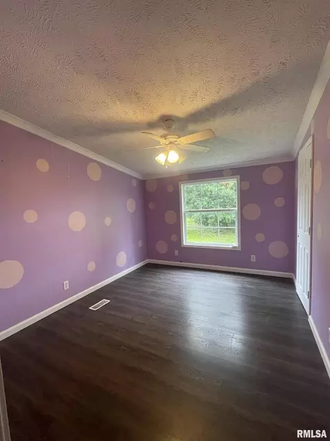 1404 County Road 750 E, Carmi, IL 62821 photo 12