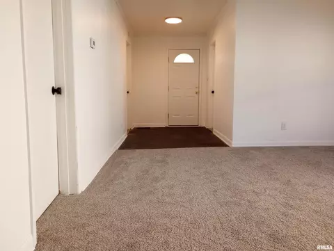 210 W Sylvia Ave, Christopher, IL 62822 photo 9