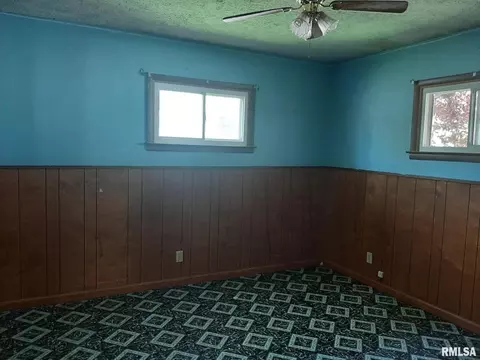312 W Ernestine Ave, Christopher, IL 62822 photo 9