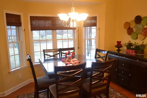 1681 Joy Ln, Centralia, IL 62801 photo 17