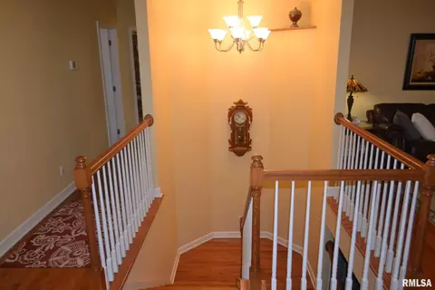 1681 Joy Ln, Centralia, IL 62801 photo 27