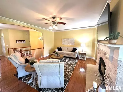 1681 Joy Ln, Centralia, IL 62801 photo 15