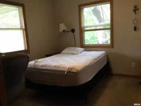 110 Joseph St, Cobden, IL 62920 photo 9