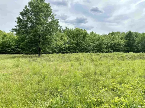 000 E Dix Irvington Rd, Centralia, IL 62801 photo 18
