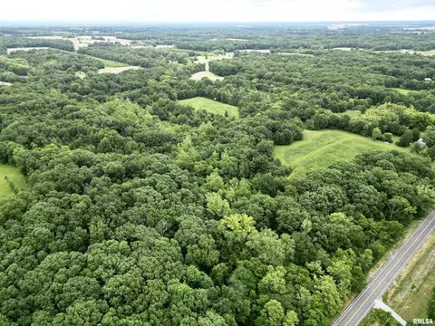 000 E Dix Irvington Rd, Centralia, IL 62801 photo 3