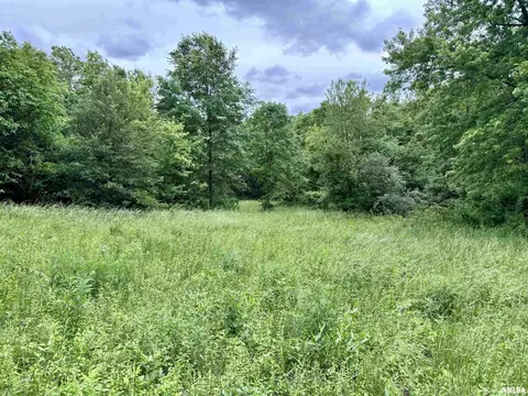 000 E Dix Irvington Rd, Centralia, IL 62801 photo 14