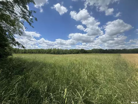 000 1400 E County Rd, Cisne, IL 62839 photo 12