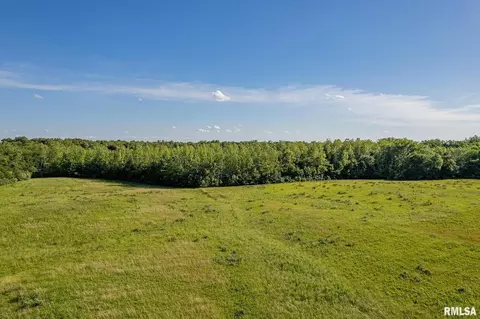 000 1400 E County Rd, Cisne, IL 62839 photo 8