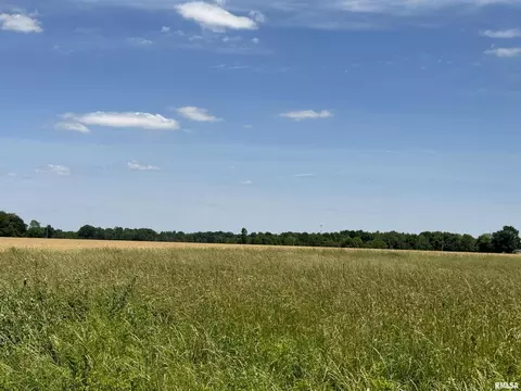 000 1400 E County Rd, Cisne, IL 62839 photo 23