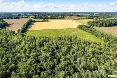 000 1400 E County Rd, Cisne, IL 62839 photo 5