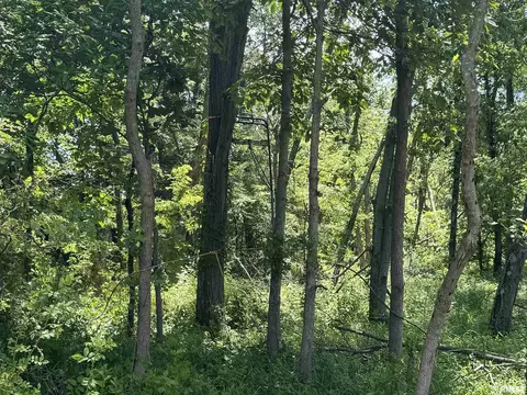 000 1400 E County Rd, Cisne, IL 62839 photo 17