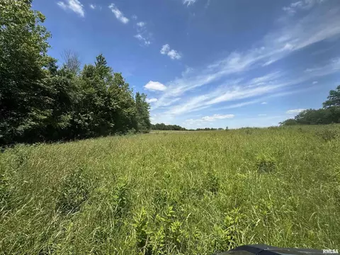 000 1400 E County Rd, Cisne, IL 62839 photo 13