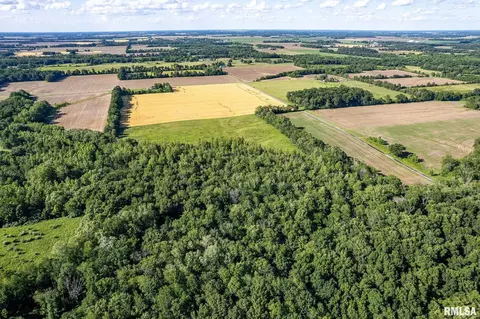 000 1400 E County Rd, Cisne, IL 62839 photo 4