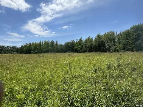 000 1400 E County Rd, Cisne, IL 62839 photo 26