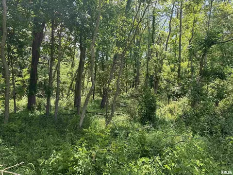 000 1400 E County Rd, Cisne, IL 62839 photo 16