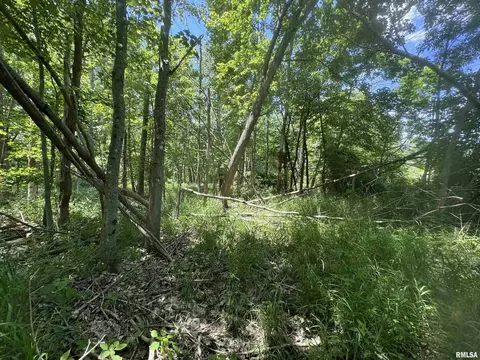 000 1400 E County Rd, Cisne, IL 62839 photo 20