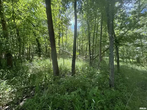 000 1400 E County Rd, Cisne, IL 62839 photo 18