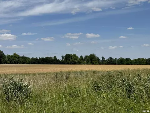 000 1400 E County Rd, Cisne, IL 62839 photo 22