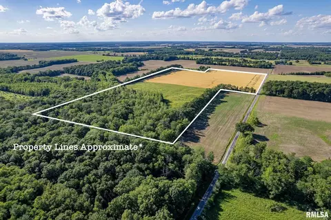000 1400 E County Rd, Cisne, IL 62839 photo 9