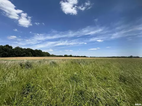 000 1400 E County Rd, Cisne, IL 62839 photo 21