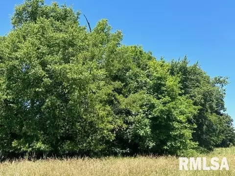 000 County Road 900 N, Mcleansboro, IL 62859