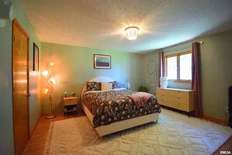604 W North St, Dix, IL 62830 photo 21