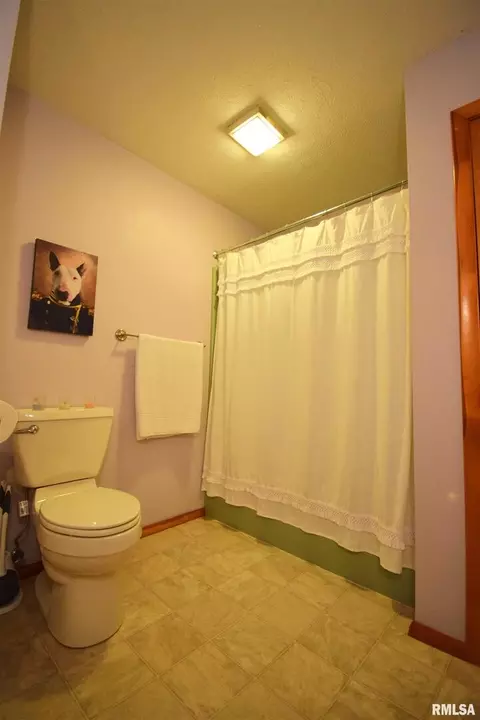 604 W North St, Dix, IL 62830 photo 25