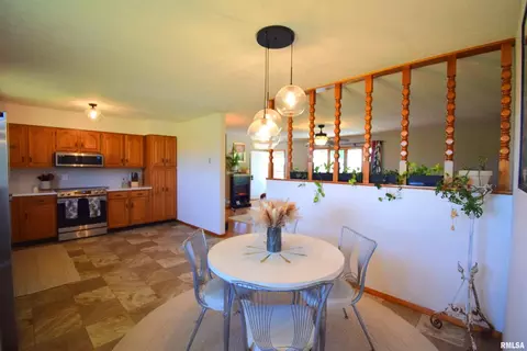 604 W North St, Dix, IL 62830 photo 19
