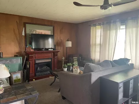 206 Springfield Ave, Anna, IL 62906 photo 14