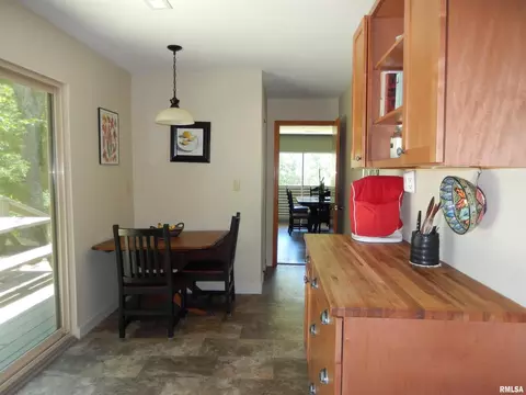 365 Neely Rd, Anna, IL 62906 photo 36